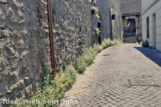 Viterbo - Incuria lungo la strada che porta alla casa di Santa Rosa