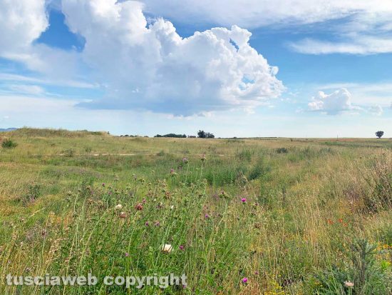 Viterbo - La zona dell'Acquarossa destinata al biodigestore