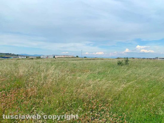 Viterbo - La zona dell'Acquarossa destinata al biodigestore