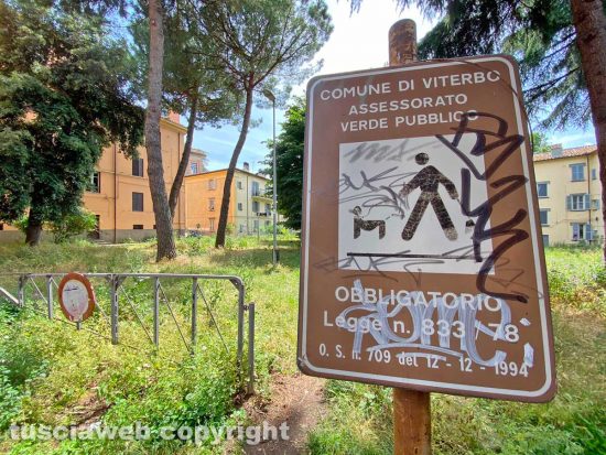 Viterbo - Il caseggiato popolare tra via Vagni e via del Massaro