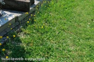 Viterbo - Incuria al cimitero di San Lazzaro