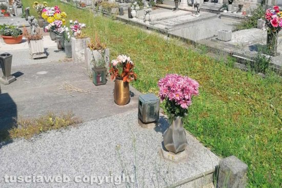 Viterbo - Incuria al cimitero di San Lazzaro