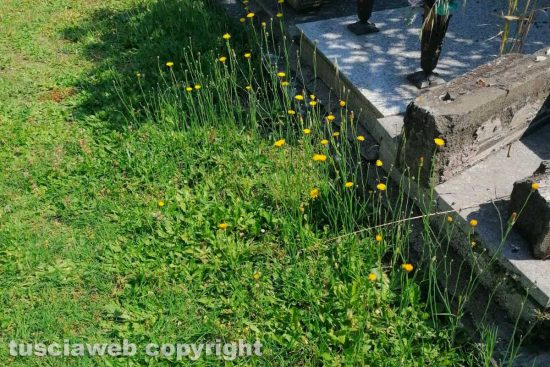 Viterbo - Incuria al cimitero di San Lazzaro
