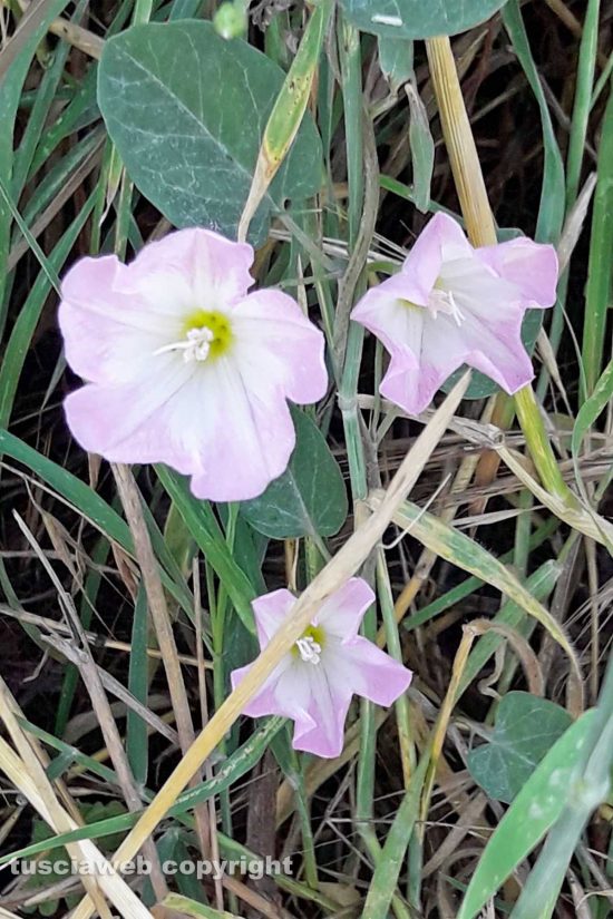 WhatsApp-Image-2021-06-16-at-09.05.31-(1)