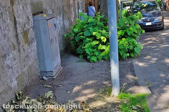 Viterbo - Il marciapiede di viale 4 Novembre
