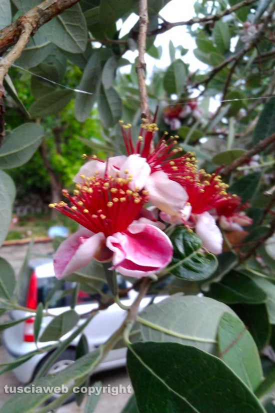 WhatsApp-Image-2021-06-17-at-12.24.21-(1)