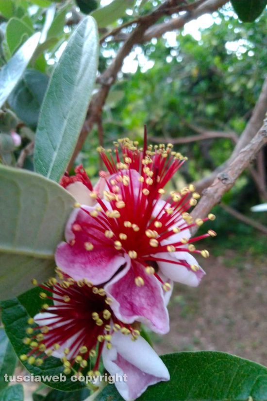 WhatsApp-Image-2021-06-17-at-12.24.21