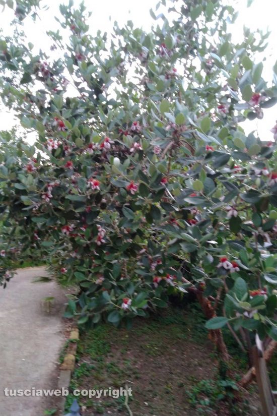 WhatsApp-Image-2021-06-17-at-12.24.22