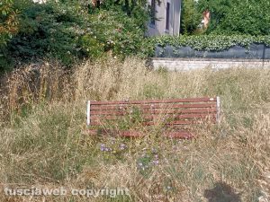 Viterbo - Erba alta nei giardini di via Ioppi