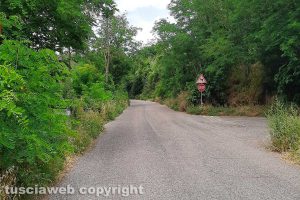 Viterbo - Incuria a Roccalvecce