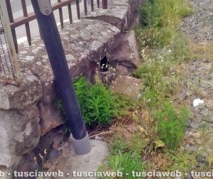 Il muro del passaggio a livello di Bagnaia danneggiato