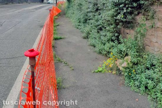 Viterbo - Incuria in via della Pila