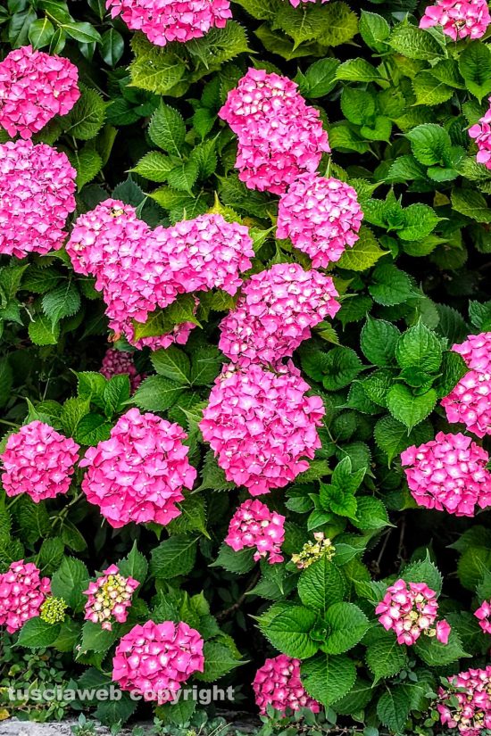 WhatsApp-Image-2021-06-20-at-21.42.02-(1)