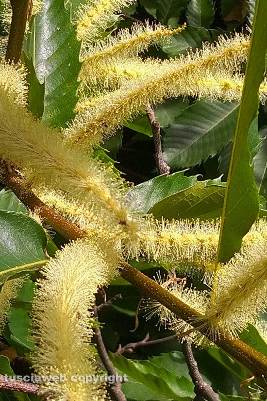 WhatsApp-Image-2021-06-21-at-14.07.34