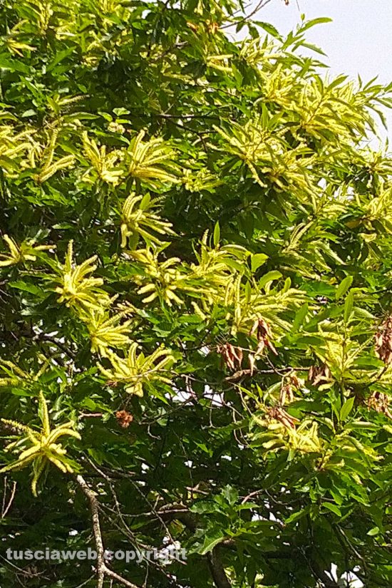 WhatsApp-Image-2021-06-21-at-14.07.35-(1)