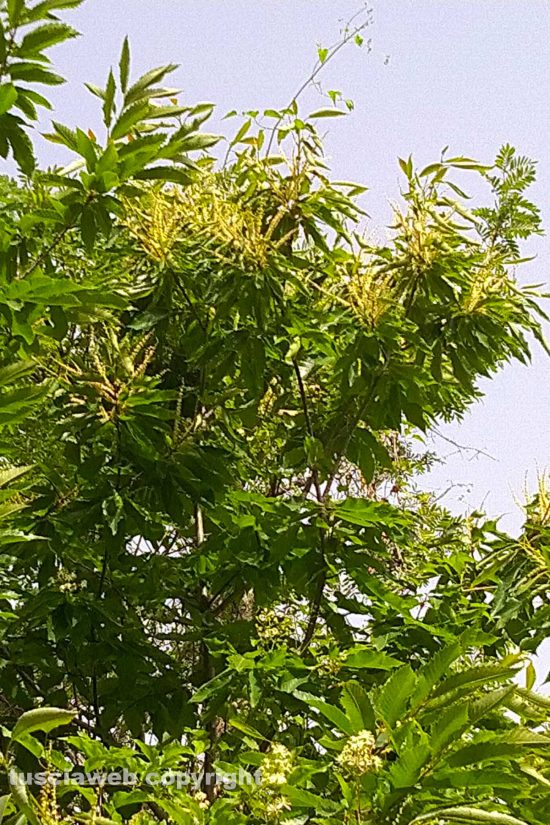 WhatsApp-Image-2021-06-21-at-14.07.35-(2)