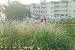 Viterbo - Incuria al parco giochi di Santa Barbara