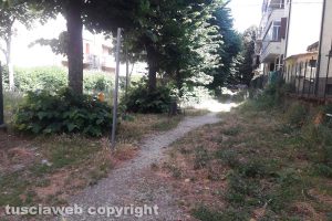 Viterbo - Incuria nel giardino pubblico del quartiere Pilastro
