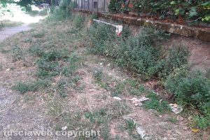 Viterbo - Incuria nel giardino pubblico del quartiere Pilastro