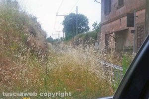 Il passaggio a livello su strada Montecchio nell'incuria