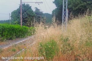 Il passaggio a livello su strada Montecchio nell'incuria