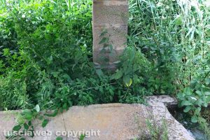 Viterbo - Lo storico lavatoio della famiglia Chigi