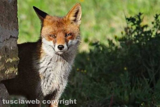 WhatsApp-Image-2021-06-27-at-23.49.22