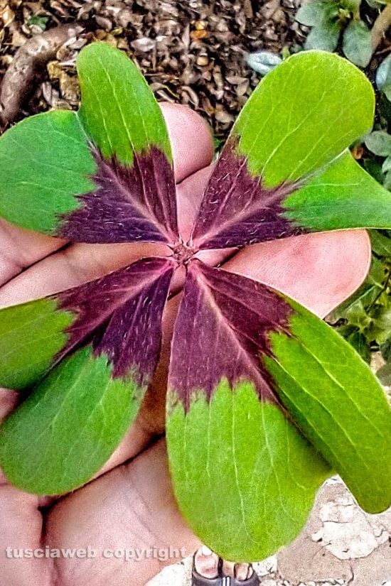 WhatsApp-Image-2021-06-28-at-10.33.25-(1)