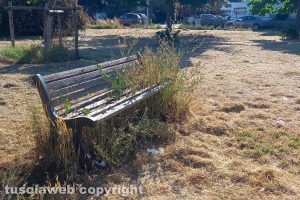 Il taglio dell'erba nel parco di piazzale dei Buccheri