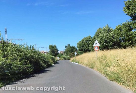 Viterbo - Siepi e rovi lungo strada Capretta
