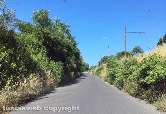 Viterbo - Siepi e rovi lungo strada Capretta