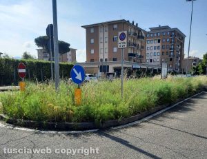Viterbo - Erba alta al Riello