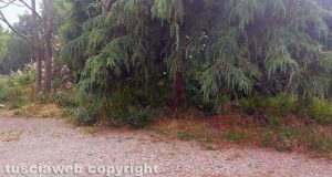 Viterbo - Via Giuseppe Ricci