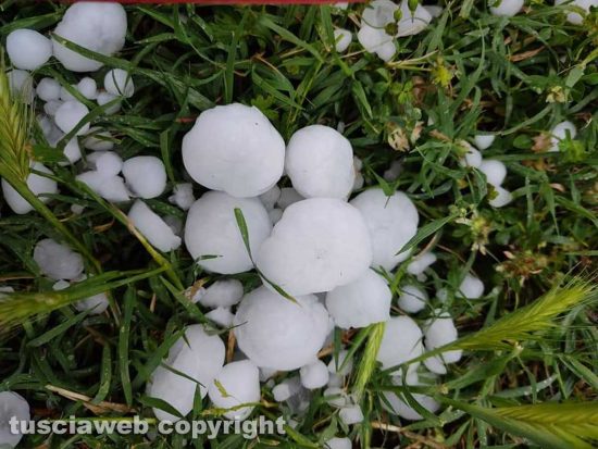 Grandine a Capranica