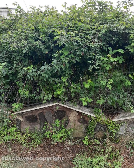 Tarquinia - L'abitazione nel degrado a via Quintiana