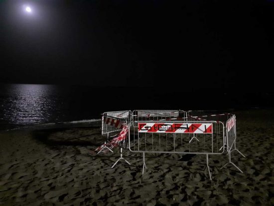 Caretta caretta a Ostia