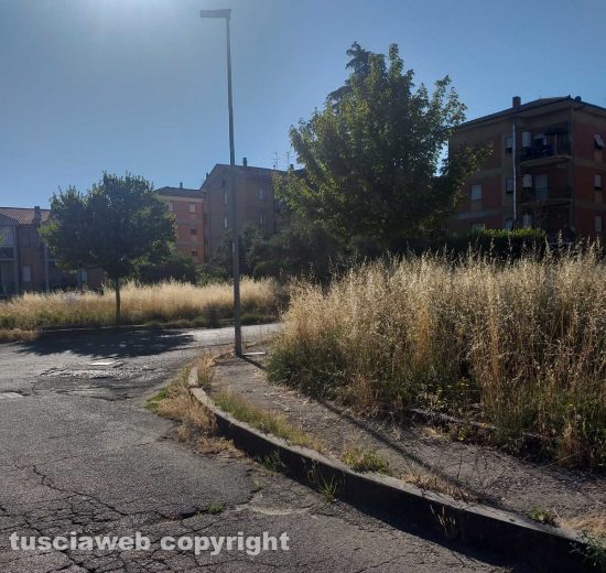 Bagnaia - Erbacce e buche in via Giovannetti