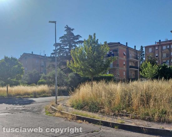 Bagnaia - Erbacce e buche in via Giovannetti