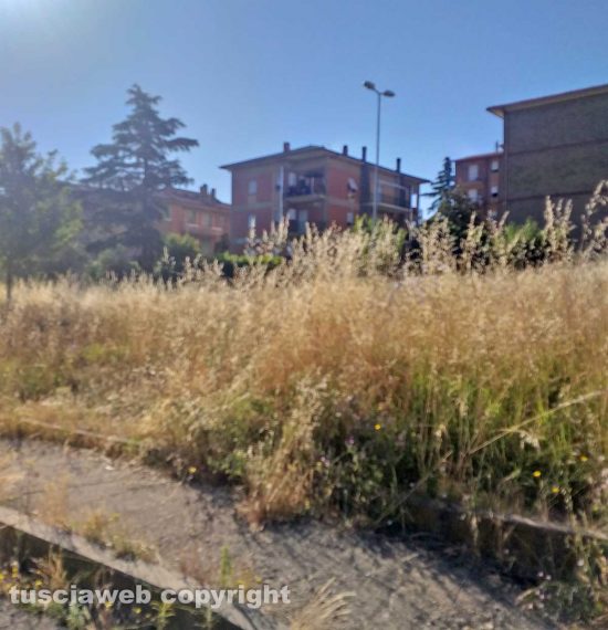 Bagnaia - Erbacce e buche in via Giovannetti