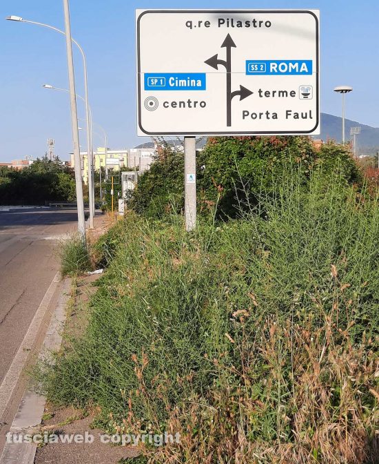 Viterbo - Erbacce a via Volta