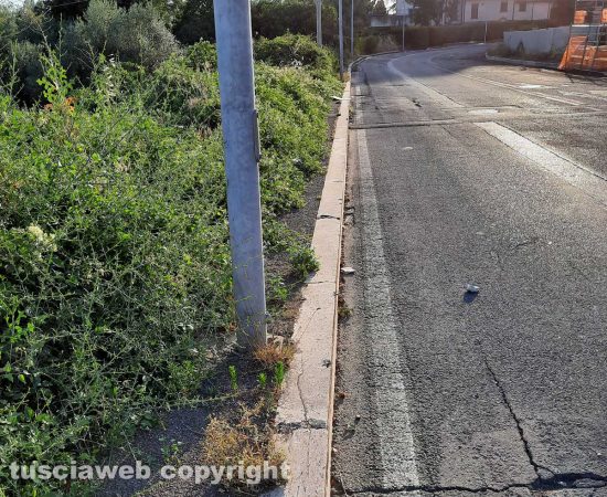 Viterbo - Erbacce a via Volta