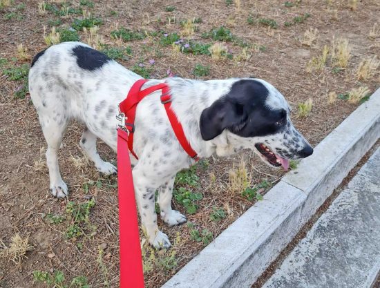 228221584_4162917387079297_9116661546275069666_n