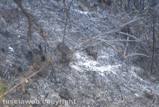 Civita Castellana - Sterpaglie in fiamme in via Belvedere Falerii Veteres