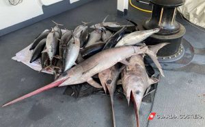 Guardia costiera - Operazione No driftnets