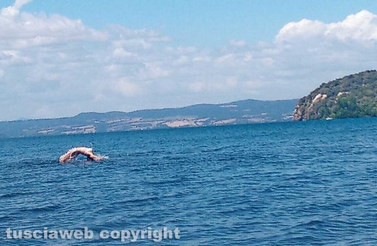 Un "delfino" al lago di Bolsena