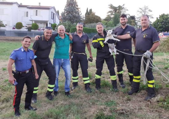 Corchiano - Il cagnolino messo in salvo da carabinieri e vigili del fuoco