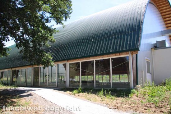 Viterbo - La palestra a Santa Barbara