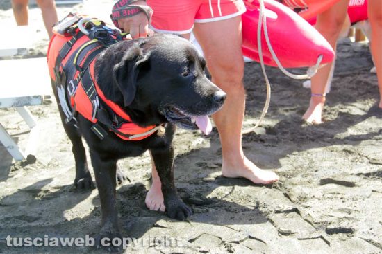 Tarquinia - La presentazione del Piano collettivo di salvataggio