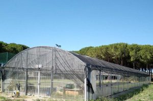 Tarquinia - Il telo donato al Cardarelli 