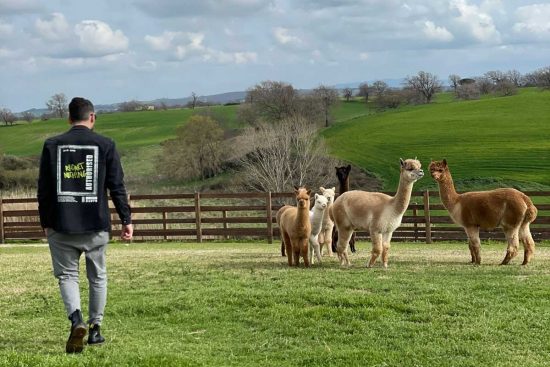 Lo stage di Cna sostenibile